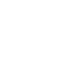 vSite vSite